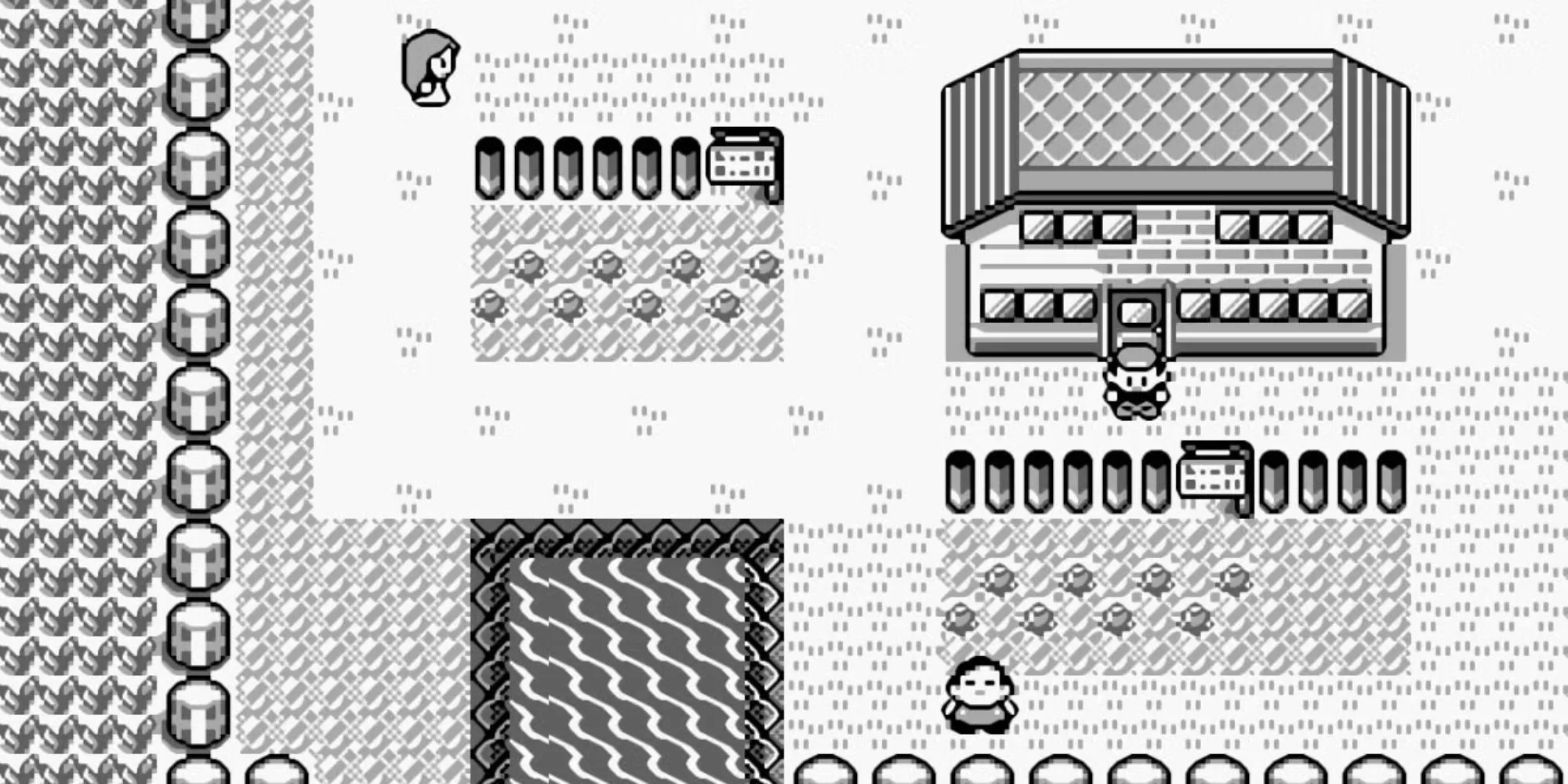Một thị trấn trong game Pokémon Red and Blue phiên bản gốc