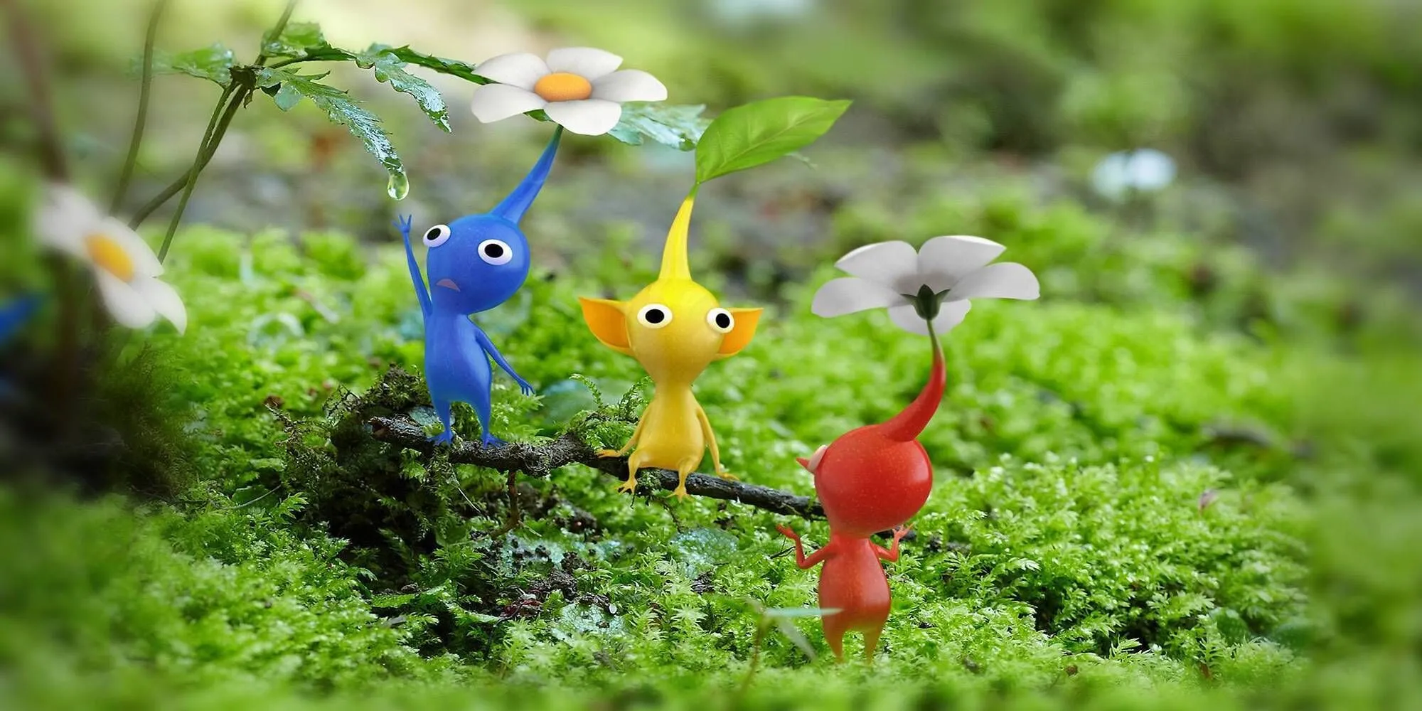 Những sinh vật nhỏ bé giống thực vật màu xanh dương, vàng và đỏ ngồi trên cành cây phía trên mặt đất phủ rêu
