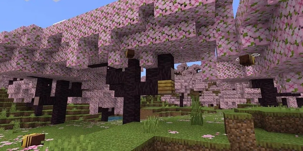 Rừng hoa anh đào từ Minecraft Trails and Tales