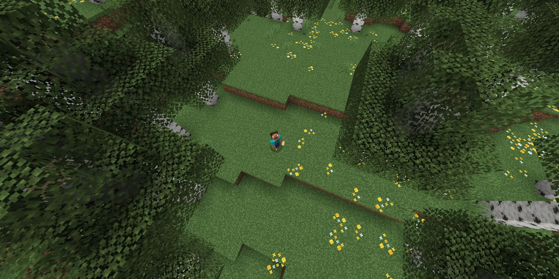 Steve đứng giữa khu rừng Bạch dương trong Minecraft, gợi nhớ concept chưa được thực hiện