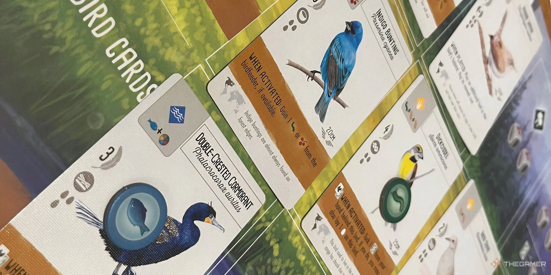 Các token thức ăn được đặt trên thẻ chim trong game Wingspan, minh họa quy tắc trao đổi thức ăn