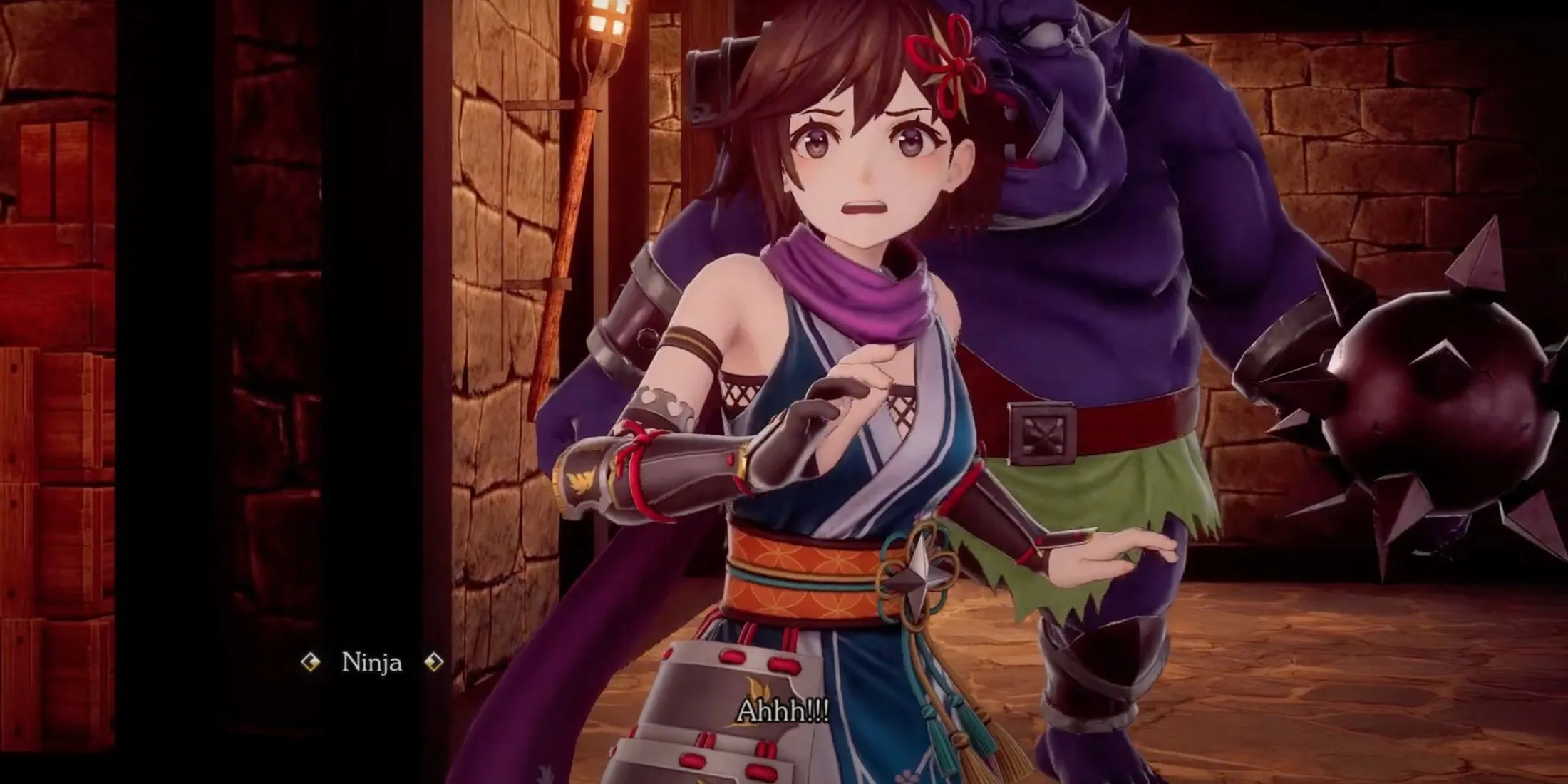 Nhân vật Ninja trong Romancing SaGa 2: Revenge Of The Seven, một ví dụ về sự linh hoạt trong lựa chọn đội hình và chiến thuật qua các triều đại.